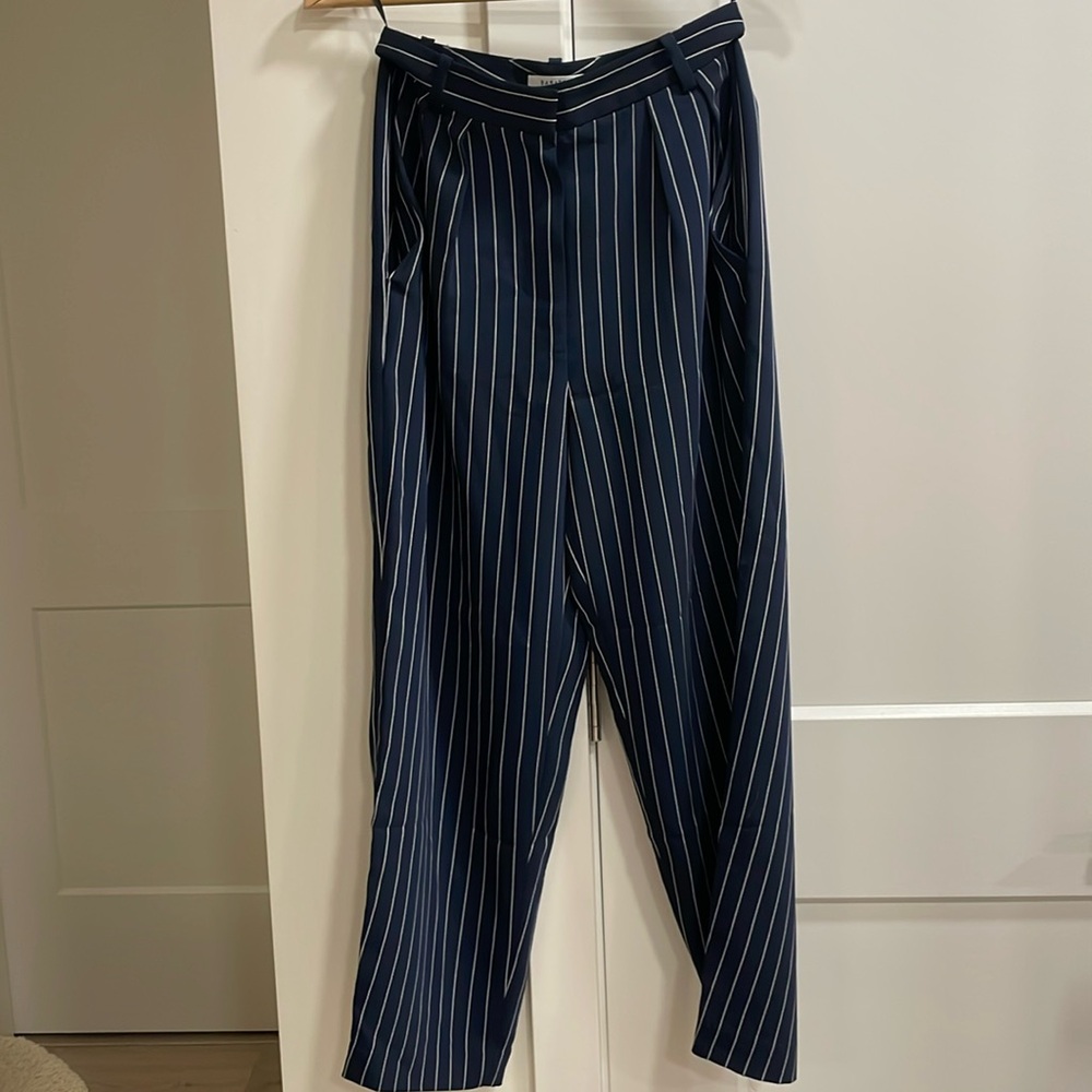 Aritzia Modesto Pants Babaton